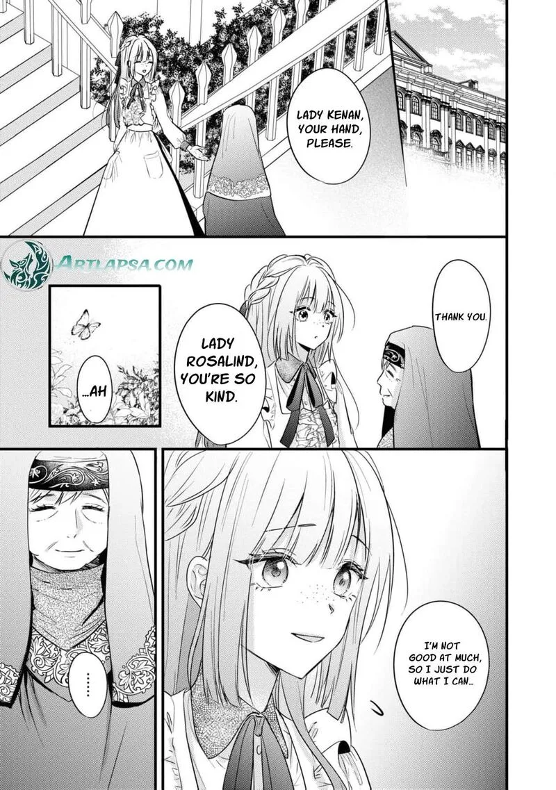 Nise Seijo da to Iwaremashita ga, Douyara Watashi ga Honmono no you desu ka? Chapter 3 page 17