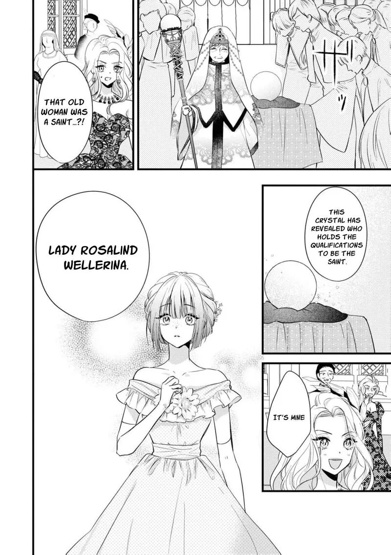 Nise Seijo da to Iwaremashita ga, Douyara Watashi ga Honmono no you desu ka? Chapter 3 page 24