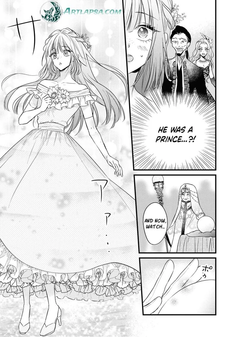 Nise Seijo da to Iwaremashita ga, Douyara Watashi ga Honmono no you desu ka? Chapter 3 page 27