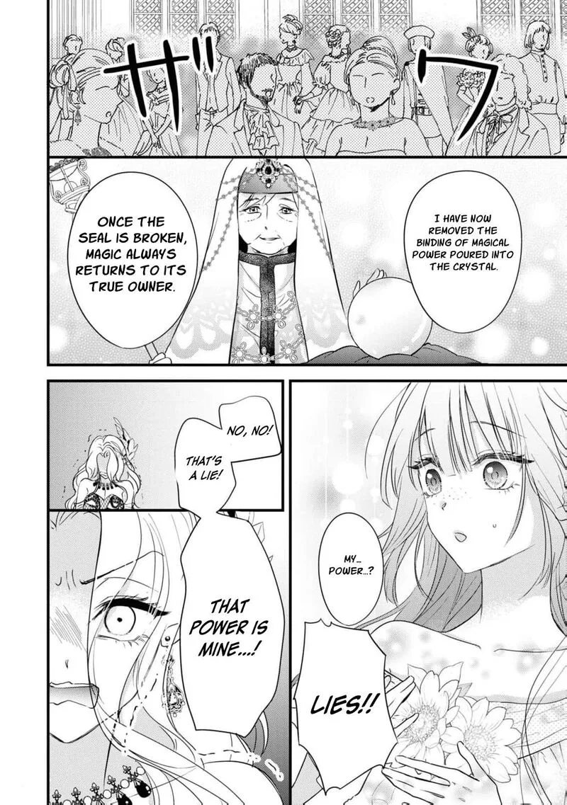 Nise Seijo da to Iwaremashita ga, Douyara Watashi ga Honmono no you desu ka? Chapter 3 page 28