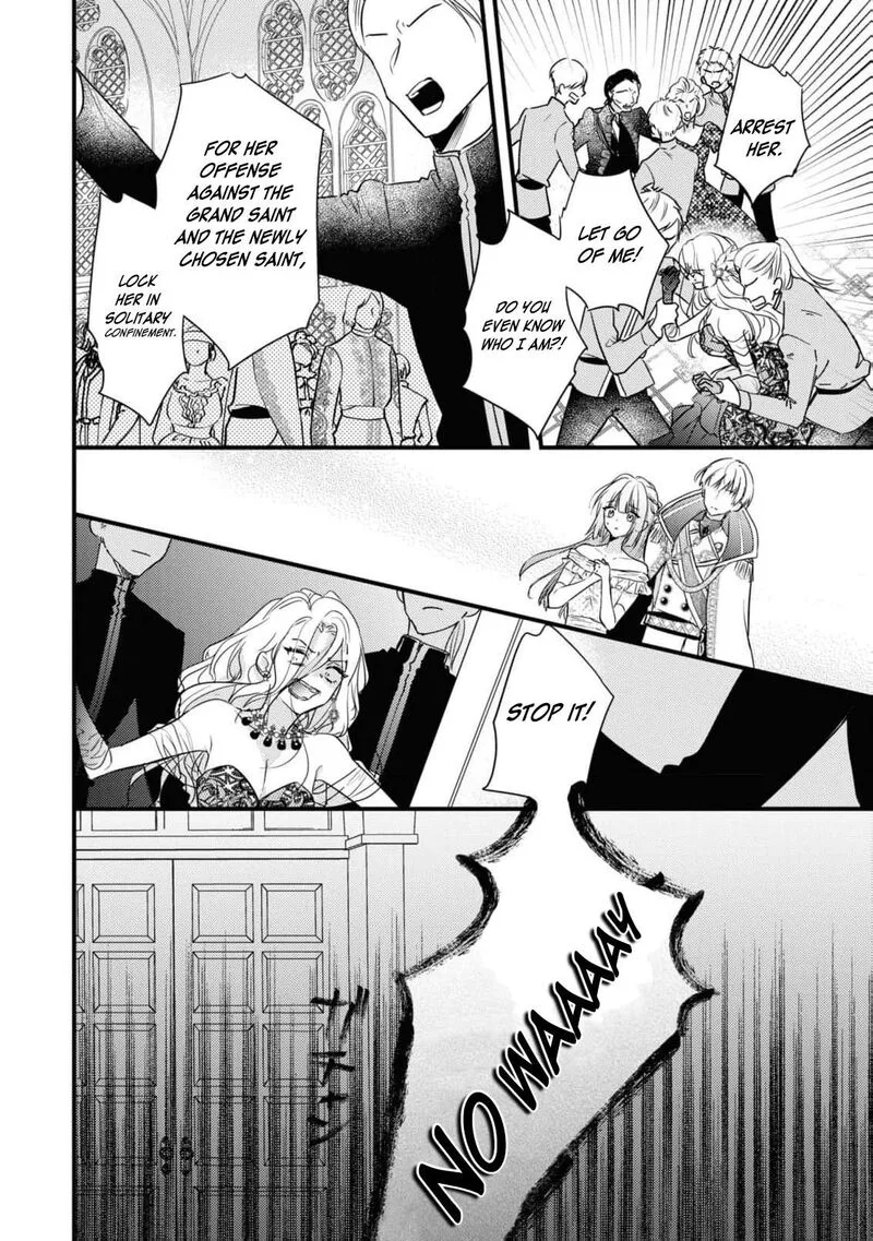 Nise Seijo da to Iwaremashita ga, Douyara Watashi ga Honmono no you desu ka? Chapter 3 page 30