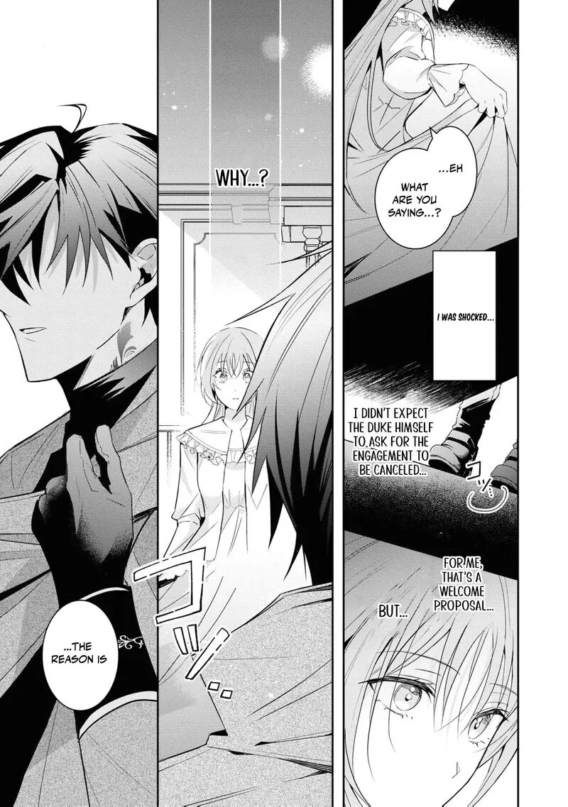 Nise Seijo da to Iwaremashita ga, Douyara Watashi ga Honmono no you desu ka? Chapter 5 page 25