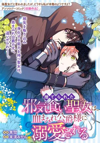 Nise Seijo da to Iwaremashita ga, Douyara Watashi ga Honmono no you desu ka? cover