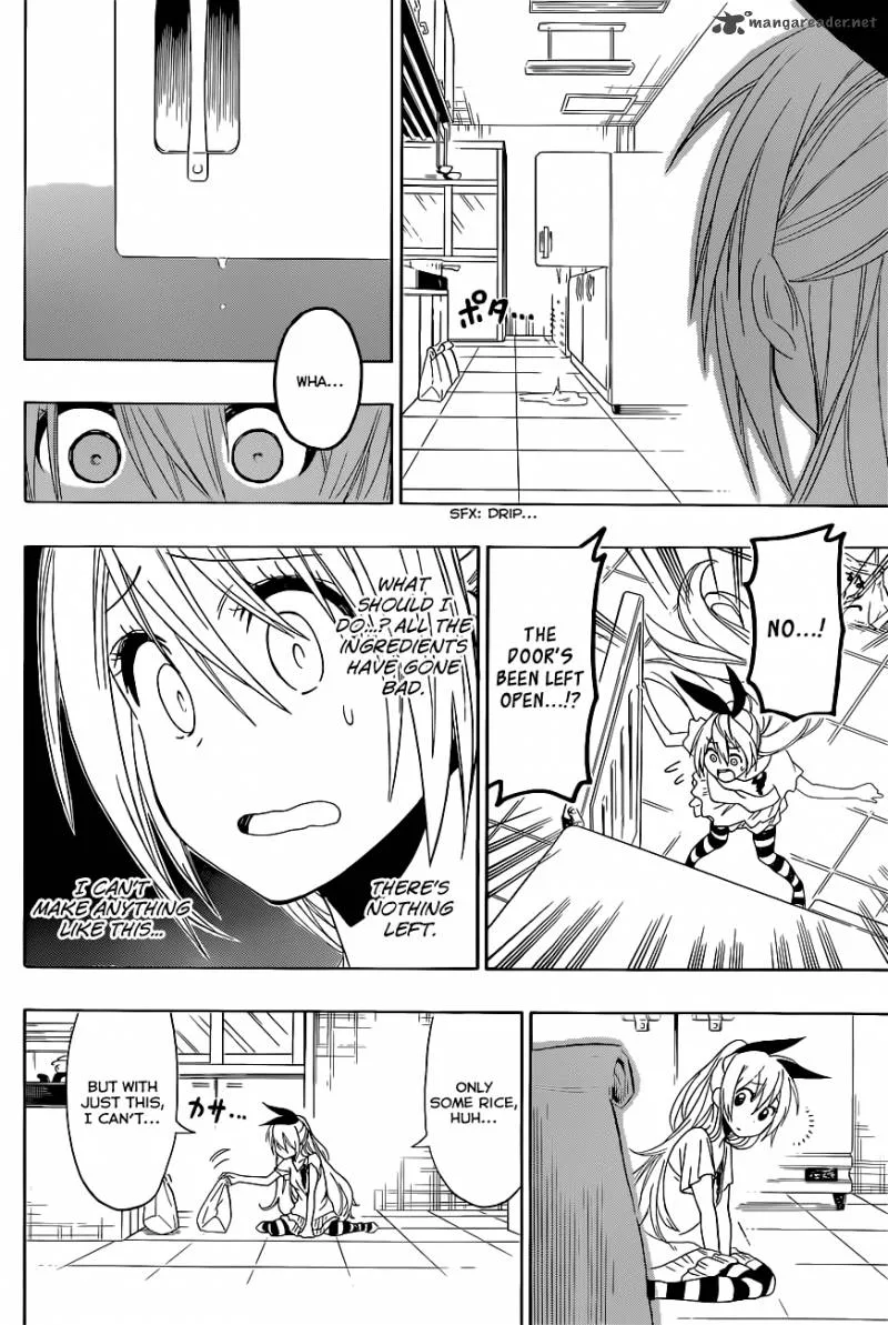 Nisekoi Chapter 116 page 17