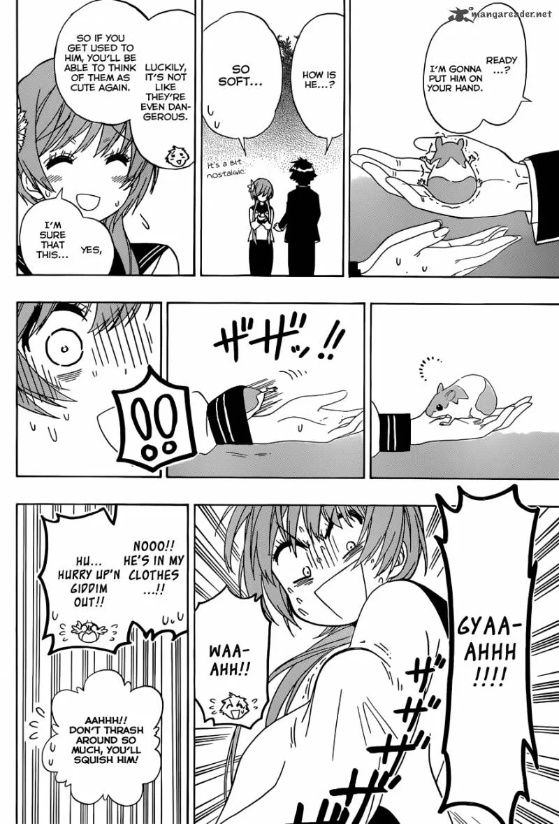 Nisekoi Chapter 142 page 17