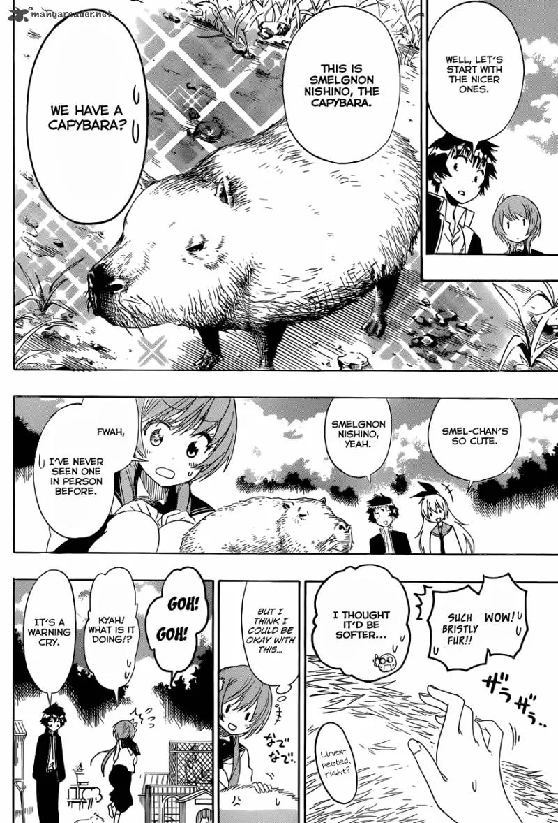 Nisekoi Chapter 142 page 7