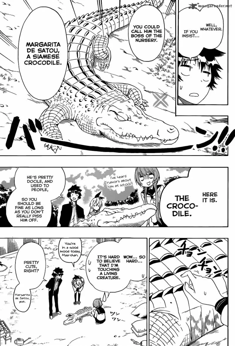 Nisekoi Chapter 142 page 12