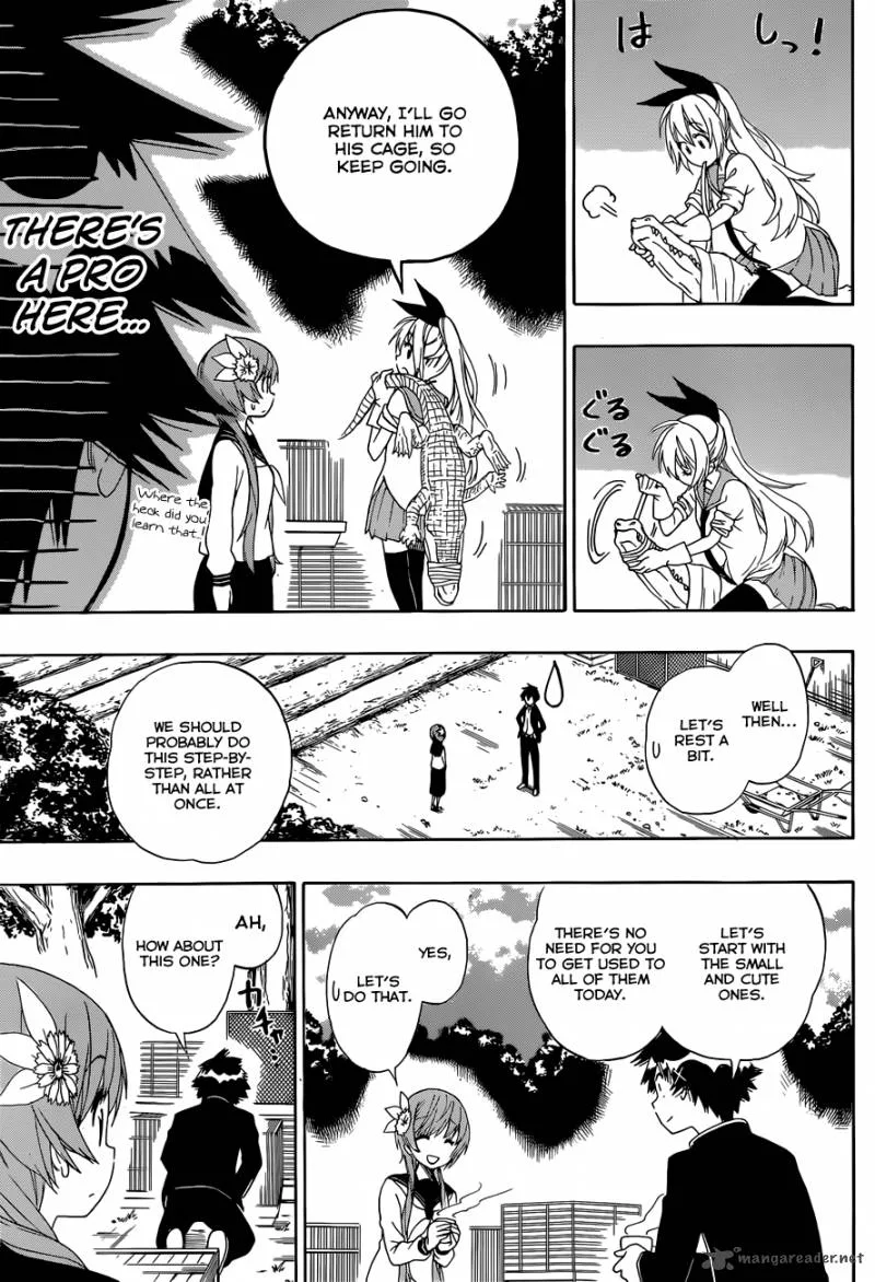 Nisekoi Chapter 142 page 14