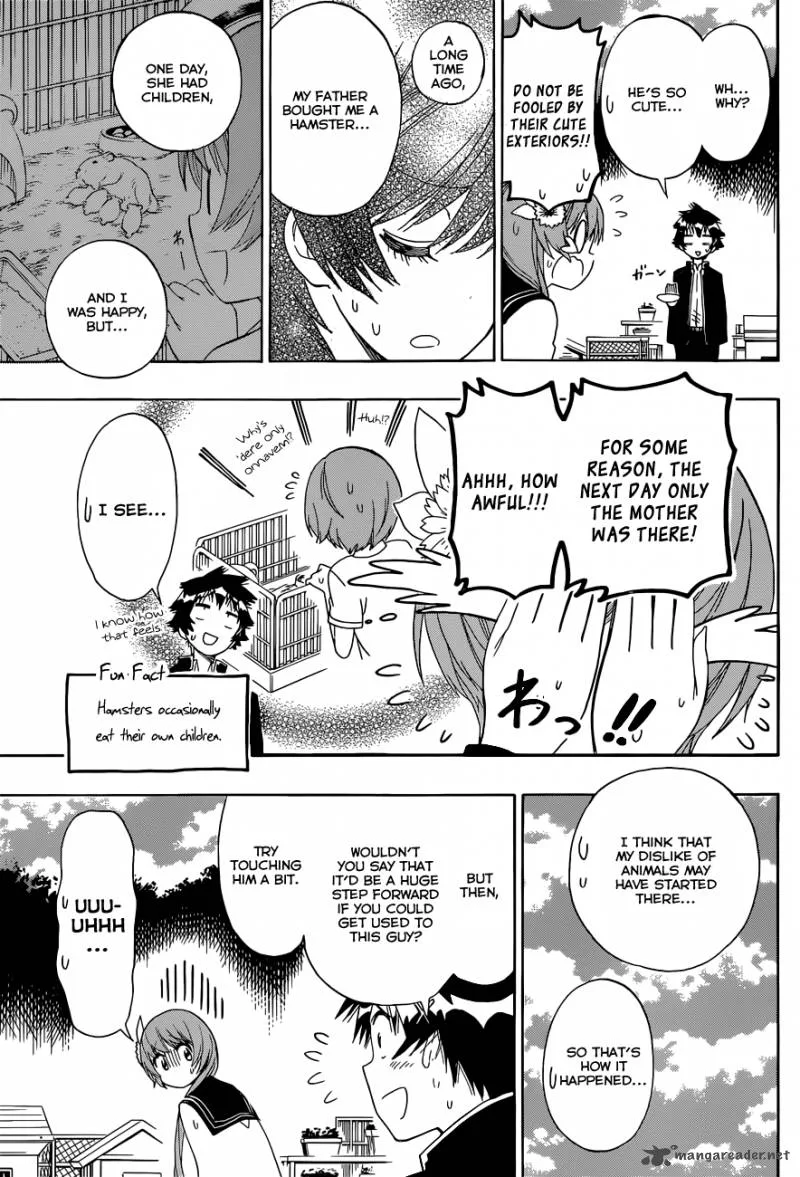Nisekoi Chapter 142 page 16