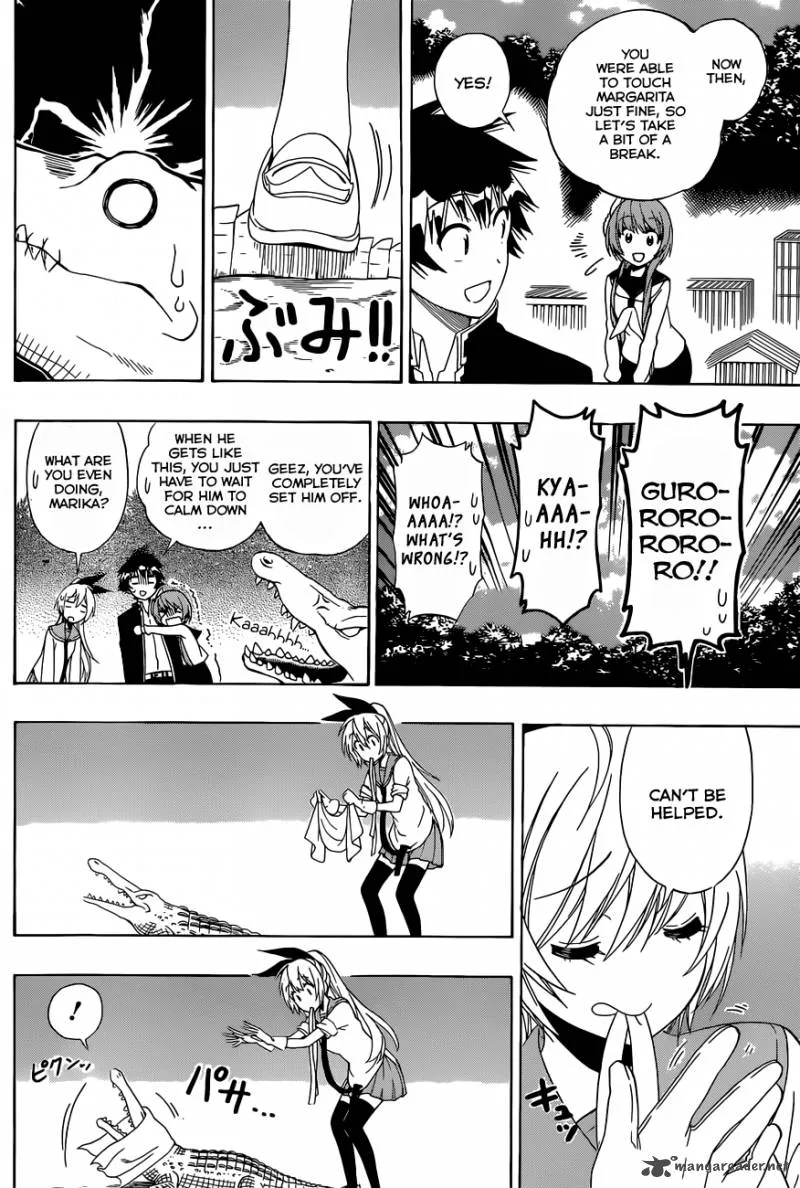 Nisekoi Chapter 142 page 13