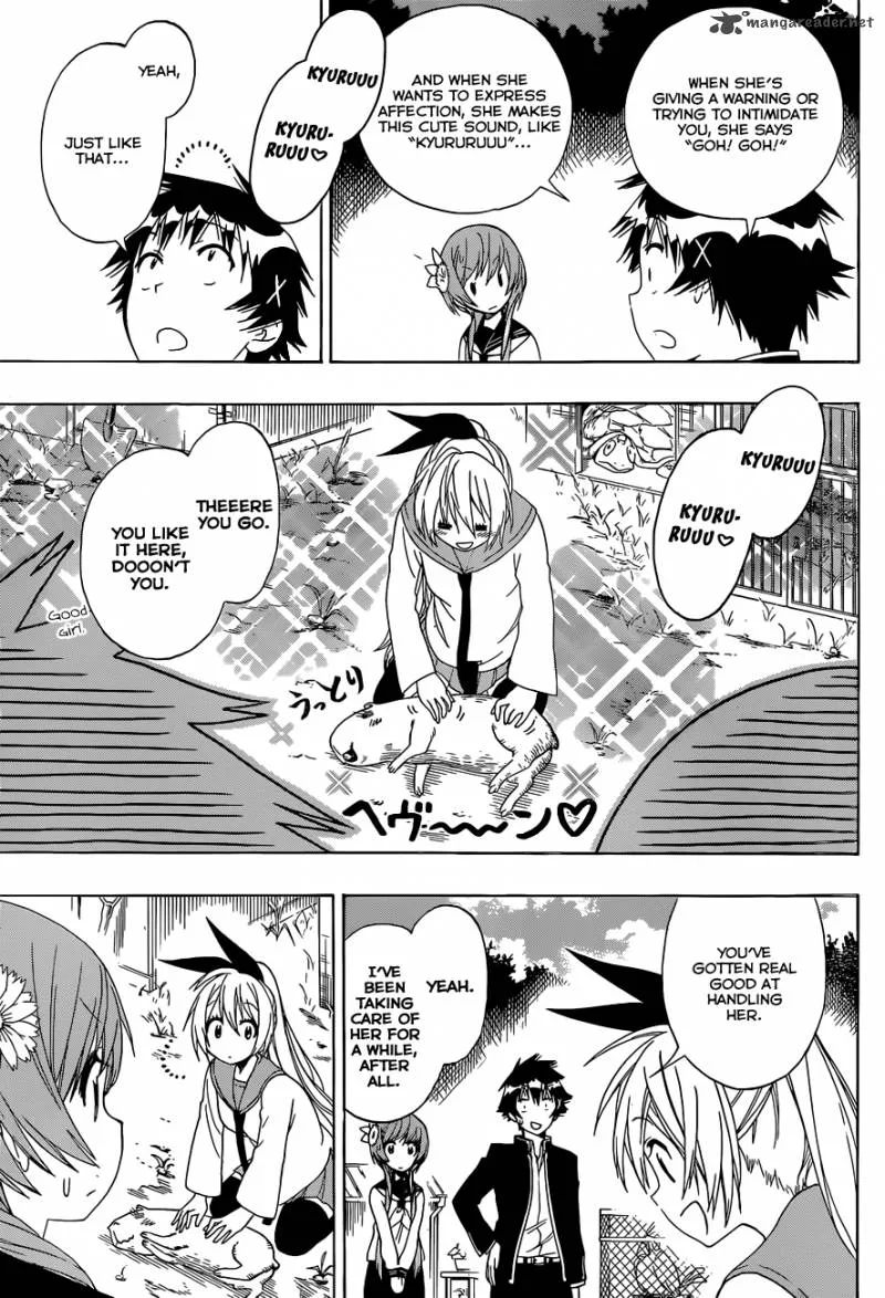 Nisekoi Chapter 142 page 8