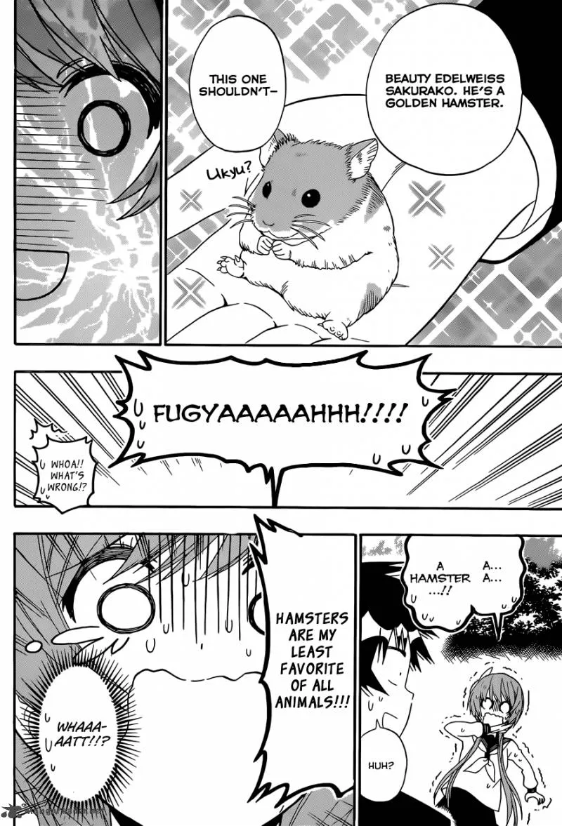Nisekoi Chapter 142 page 15