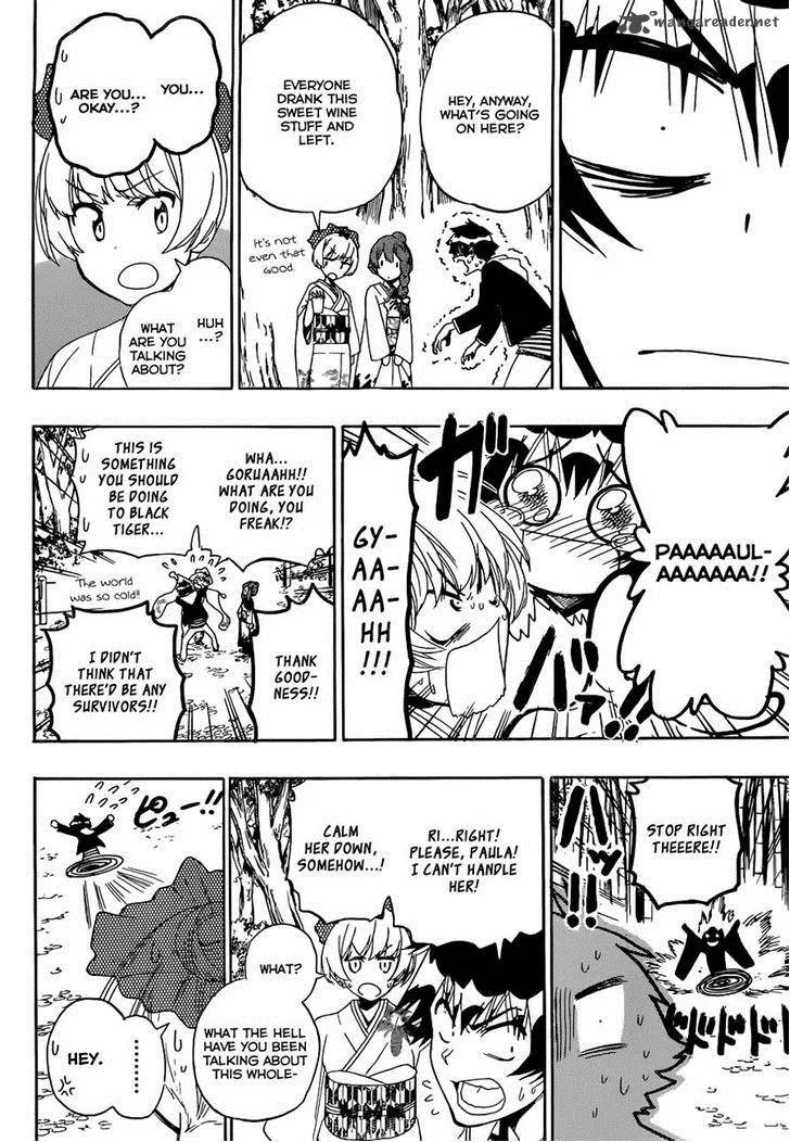 Nisekoi Chapter 173 page 14