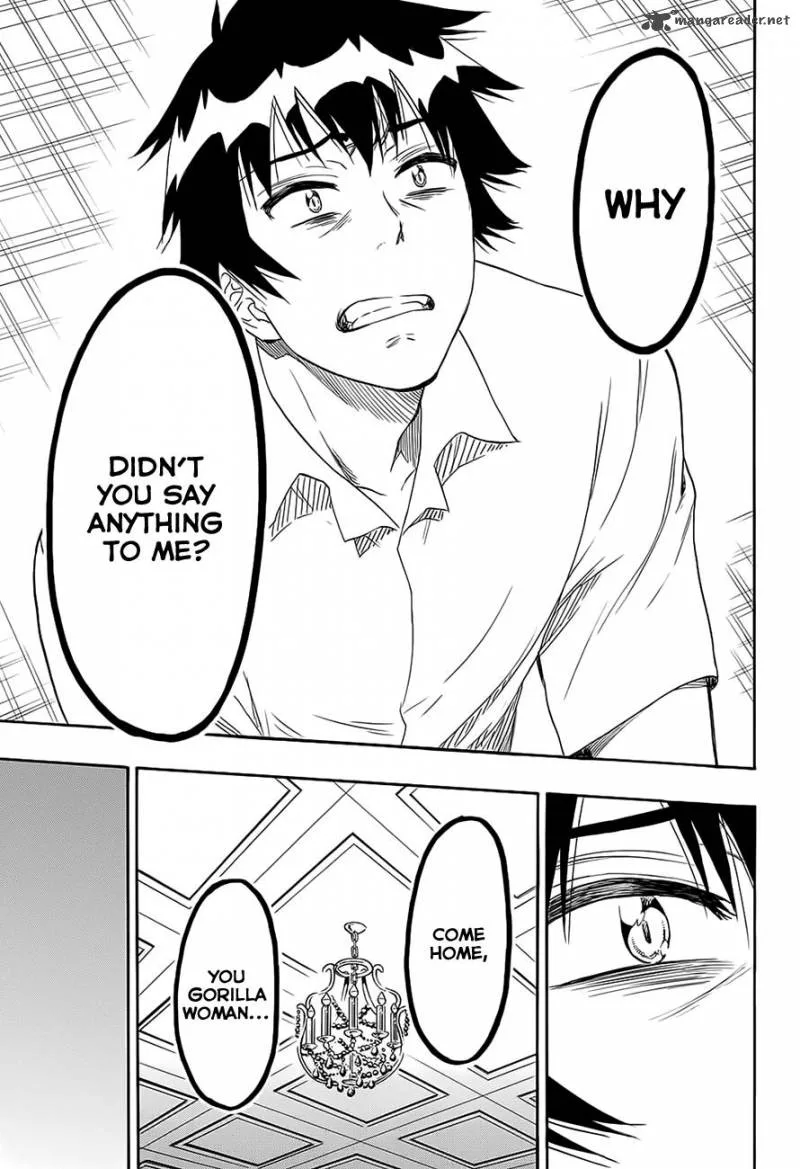 Nisekoi Chapter 213 page 17