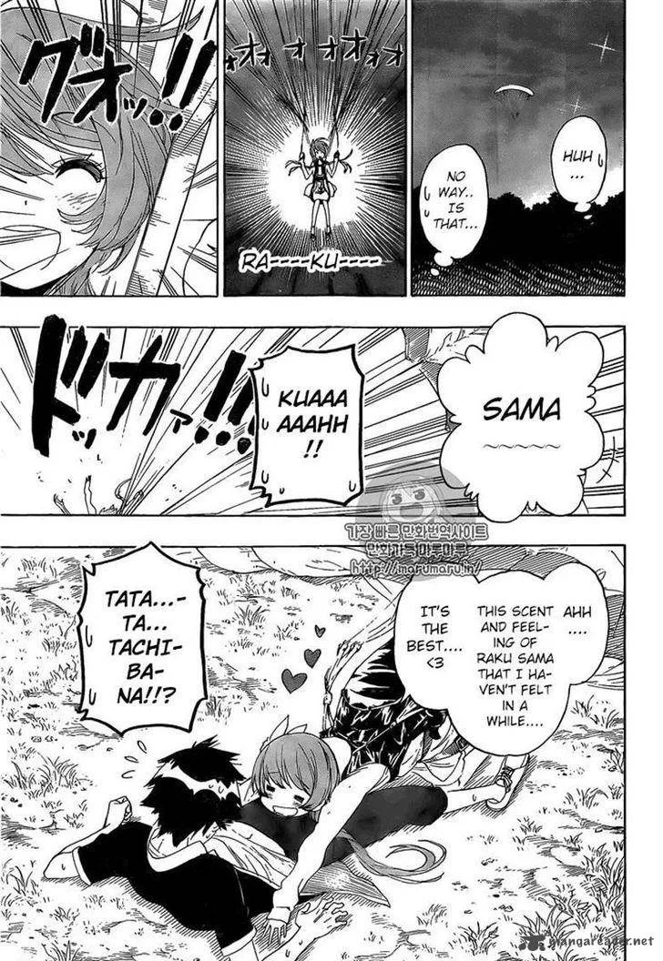 Nisekoi Chapter 219 page 11