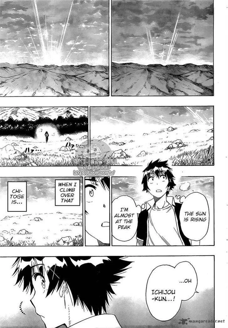 Nisekoi Chapter 224 page 17