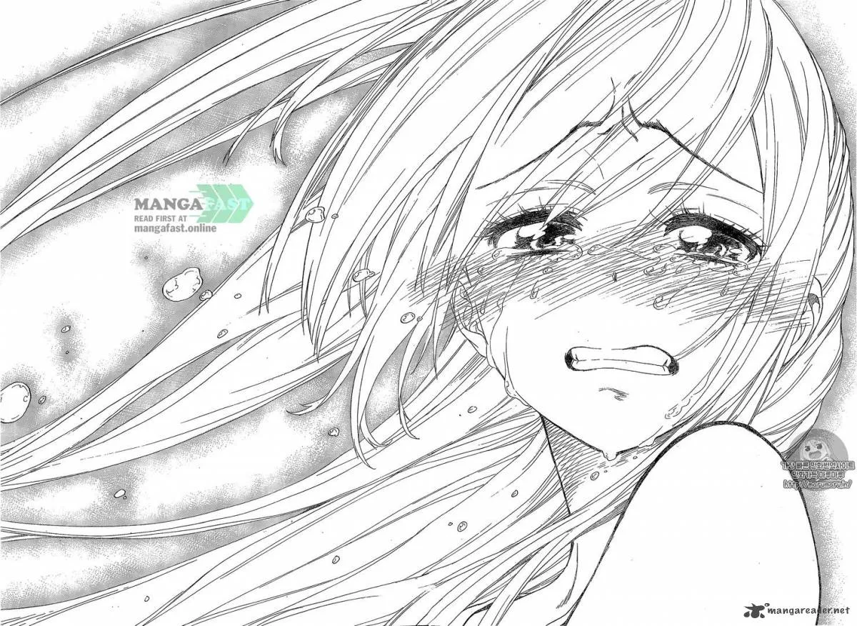 Nisekoi Chapter 227 page 17
