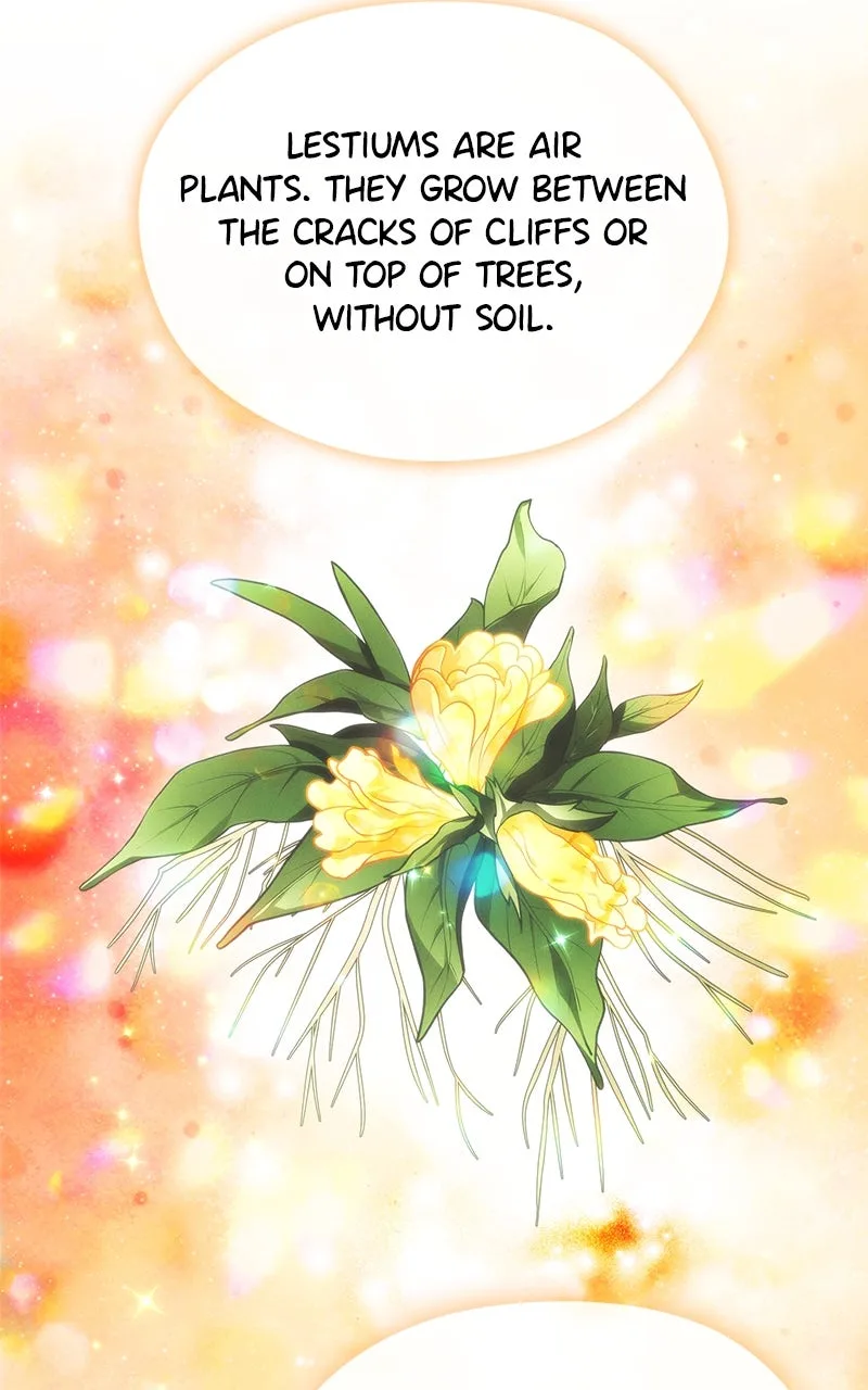 No Benefits for theReincarnated Chapter 23 page 64