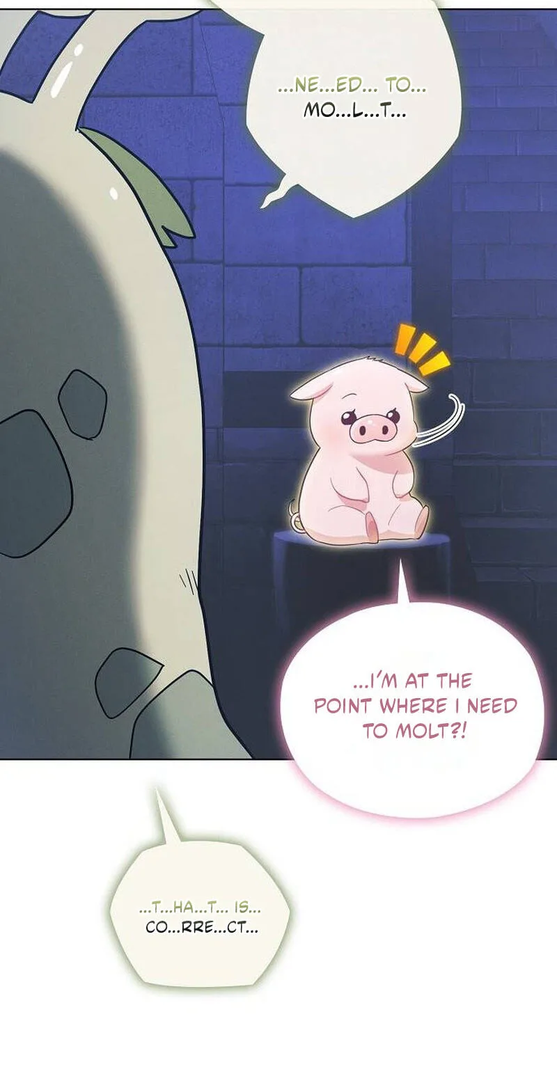 No Benefits for theReincarnated Chapter 67 page 84