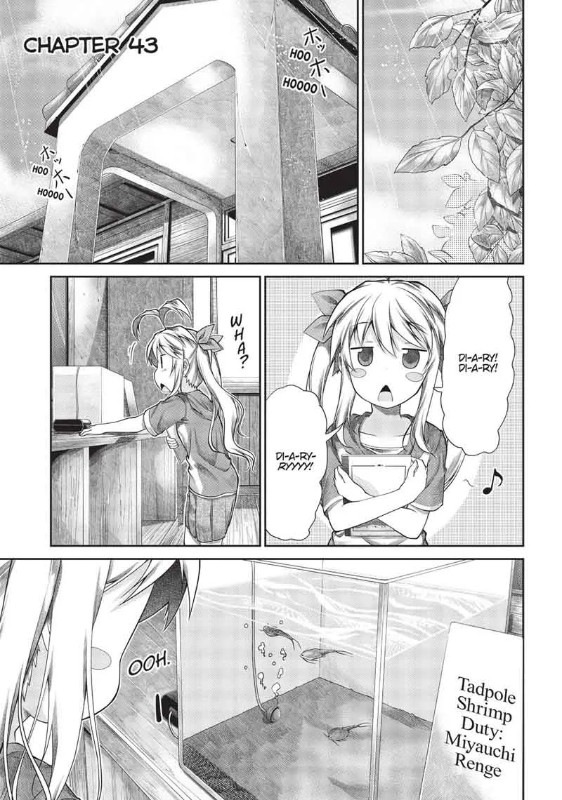 Non Non Biyori Chapter 43 page 1