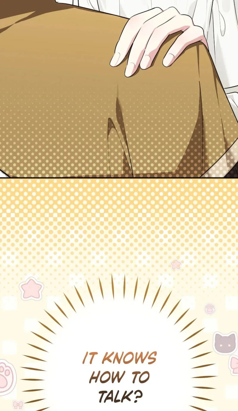 Not your MOTHER in Law Chapter 69 page 84