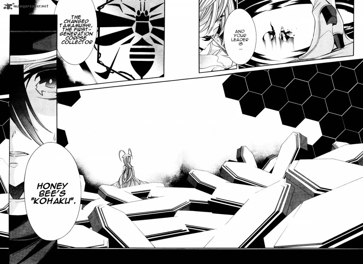 Number Chapter 24 page 20