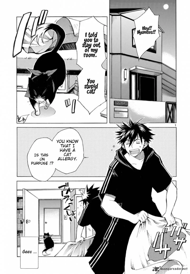 Nyan Koi! Chapter 1 page 1