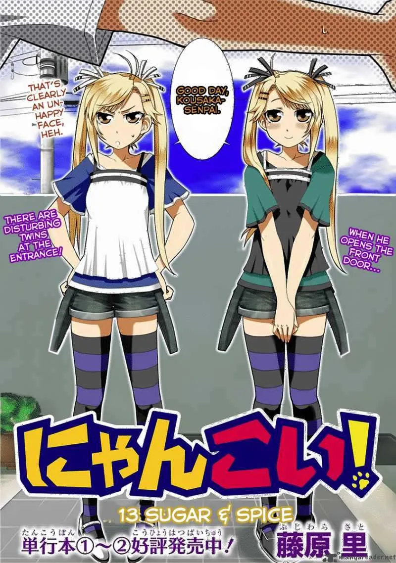 Nyan Koi! Chapter 13 page 3