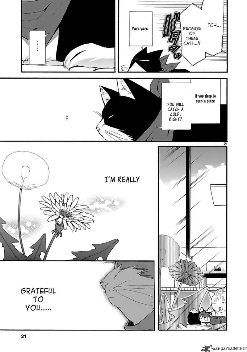 Nyan Koi! Chapter 20 page 21