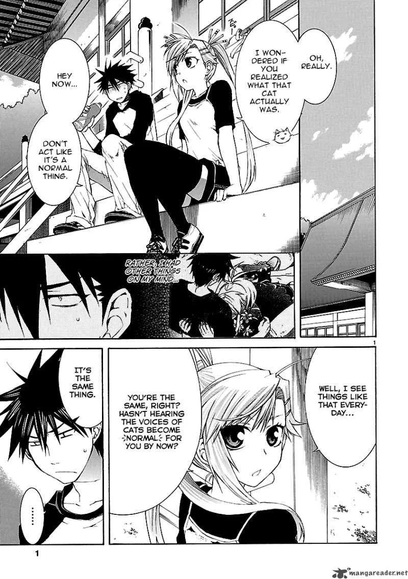 Nyan Koi! Chapter 26 page 1
