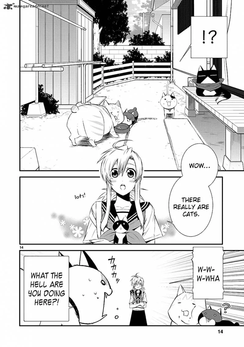Nyan Koi! Chapter 32 page 15