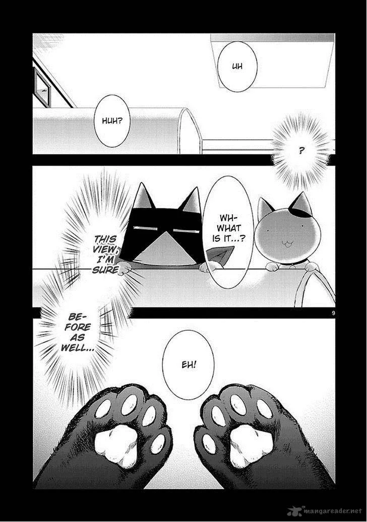 Nyan Koi! Chapter 33 page 9