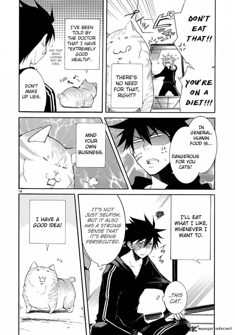 Nyan Koi! Chapter 8 page 15