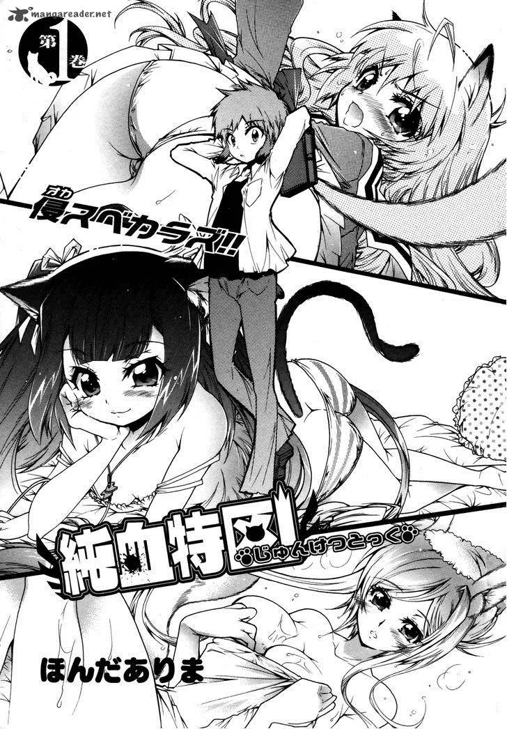 Okasu Bekarazu!! Junketsu Tokku! Chapter 1 page 3