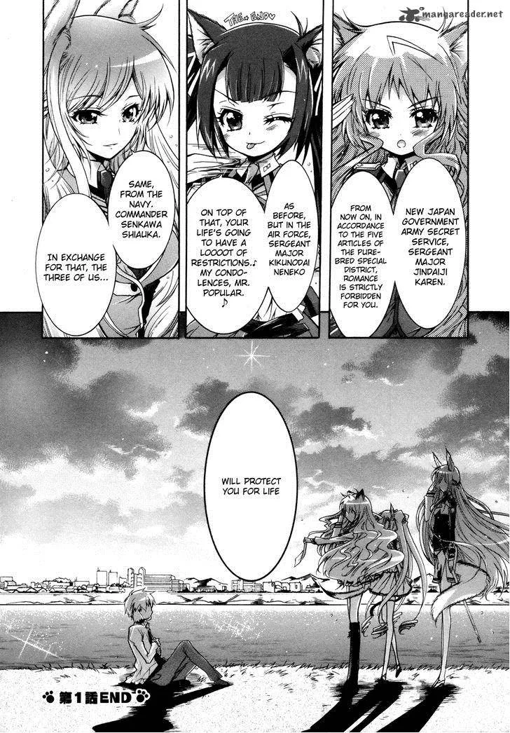 Okasu Bekarazu!! Junketsu Tokku! Chapter 1 page 32
