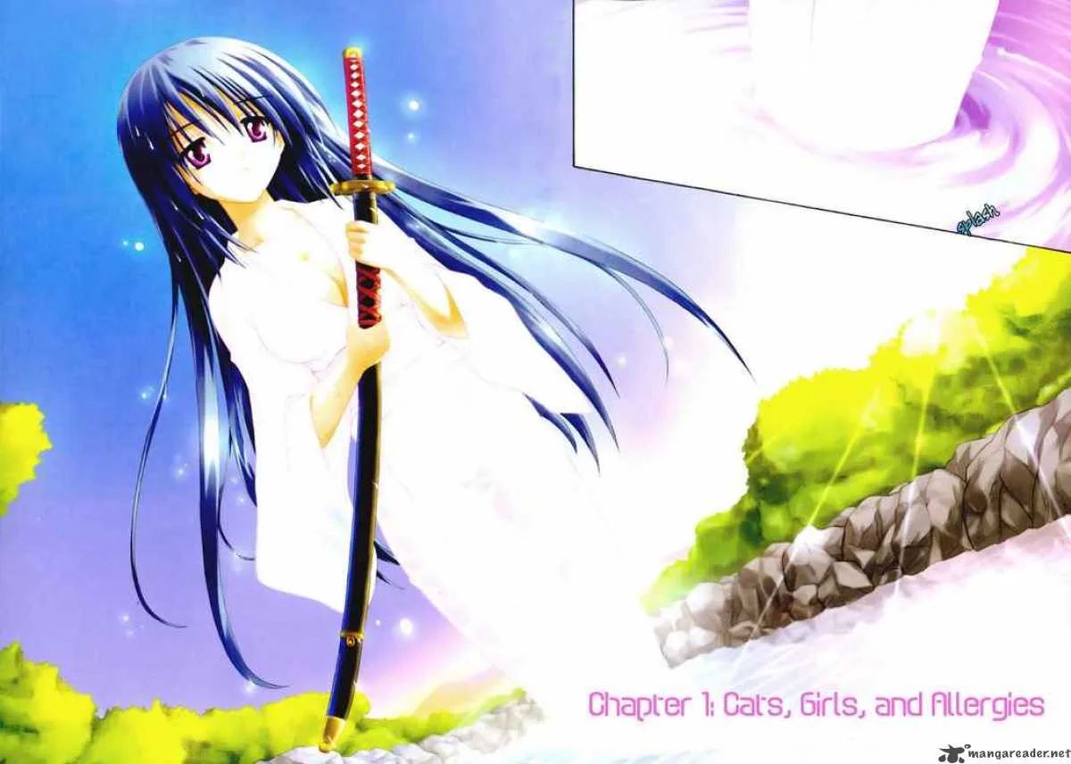 Omamori Himari Chapter 1 page 2