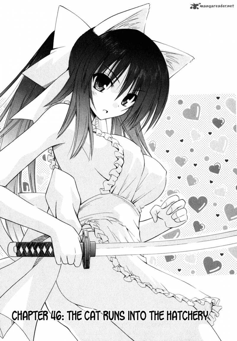 Omamori Himari Chapter 46 page 4