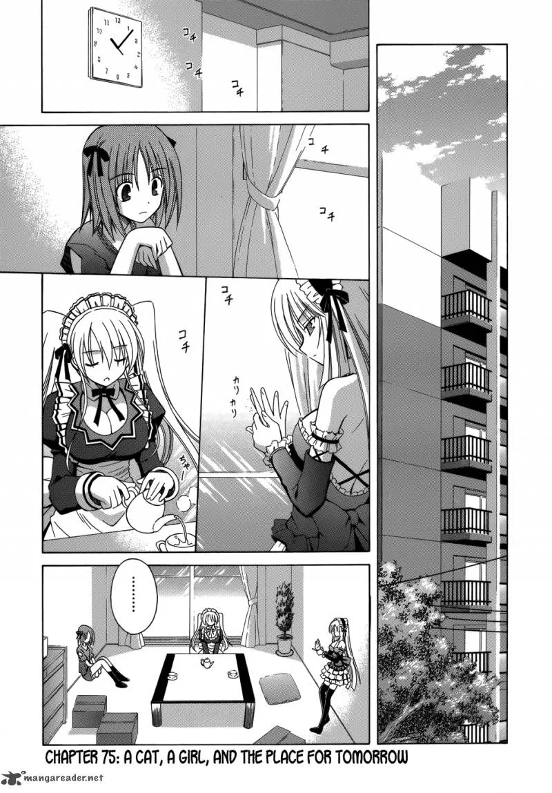 Omamori Himari Chapter 75 page 4