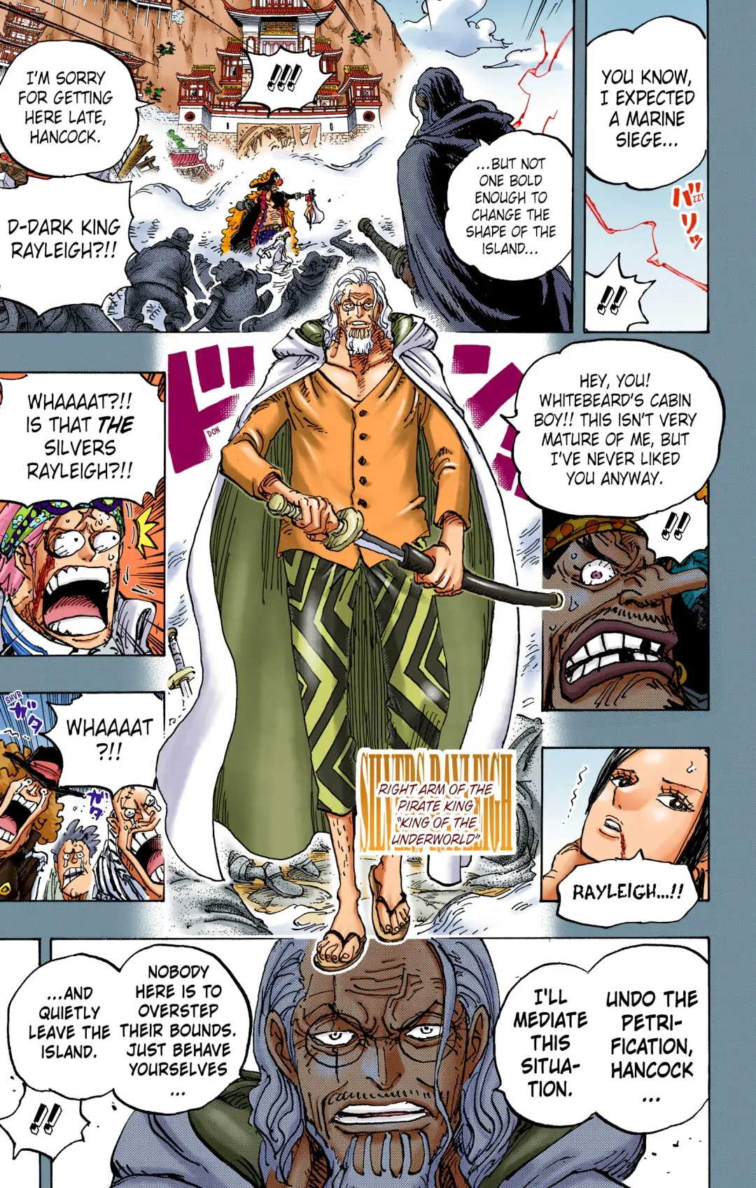 One Piece - Colored Chapter 1059 page 14