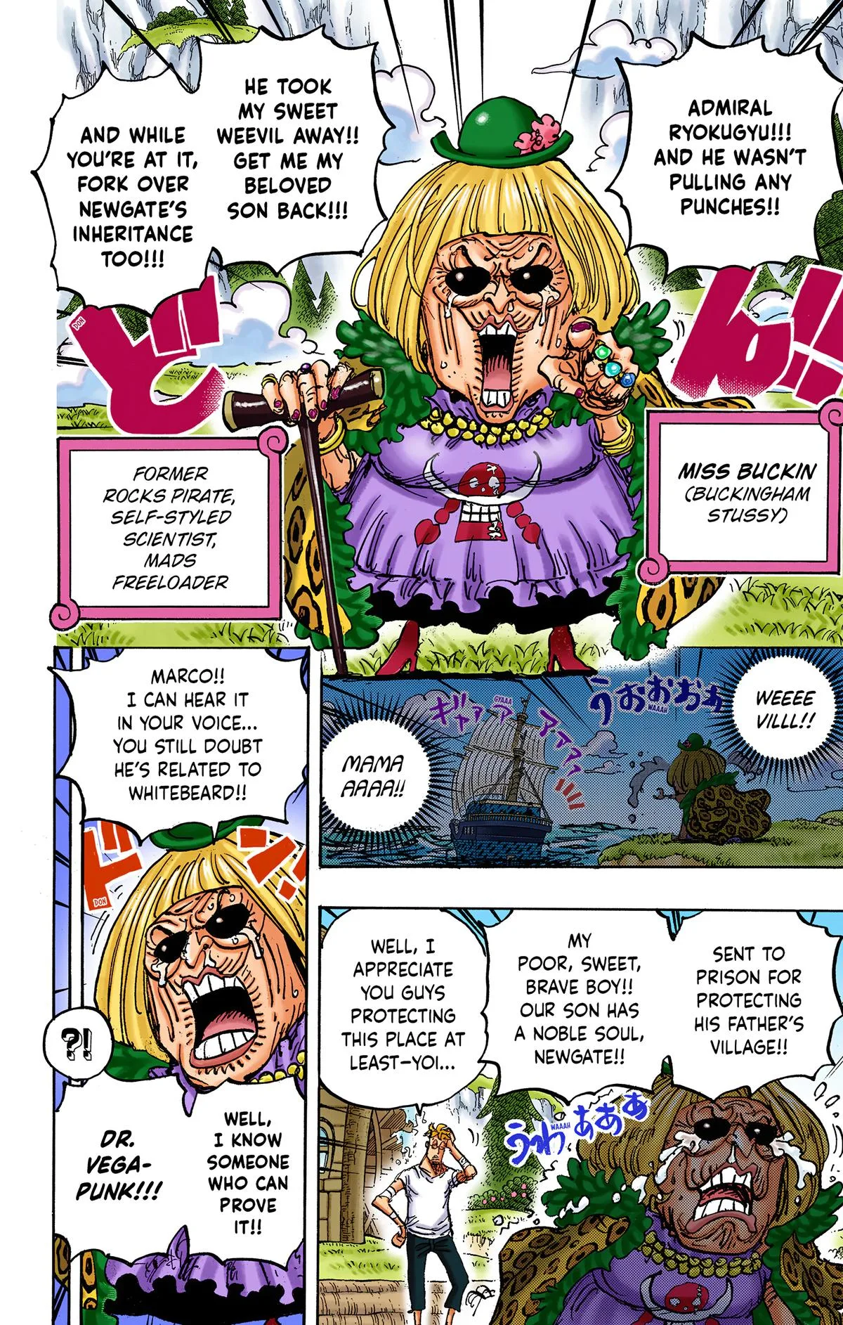 One Piece - Colored Chapter 1073 page 14