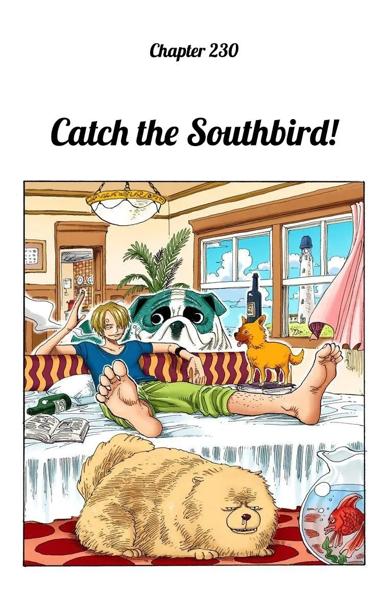 One Piece - Colored Chapter 230 page 2