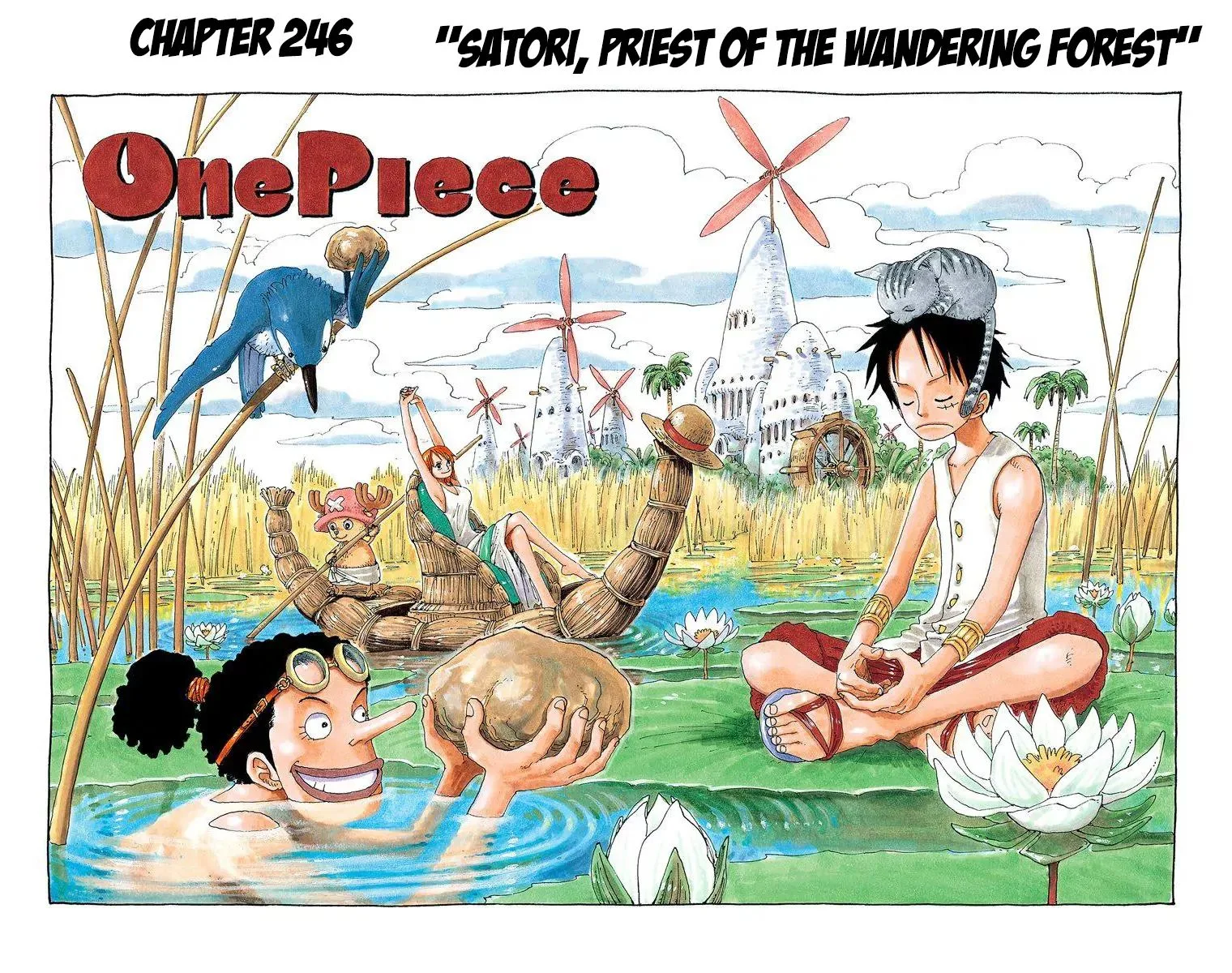 One Piece - Colored Chapter 246 page 2