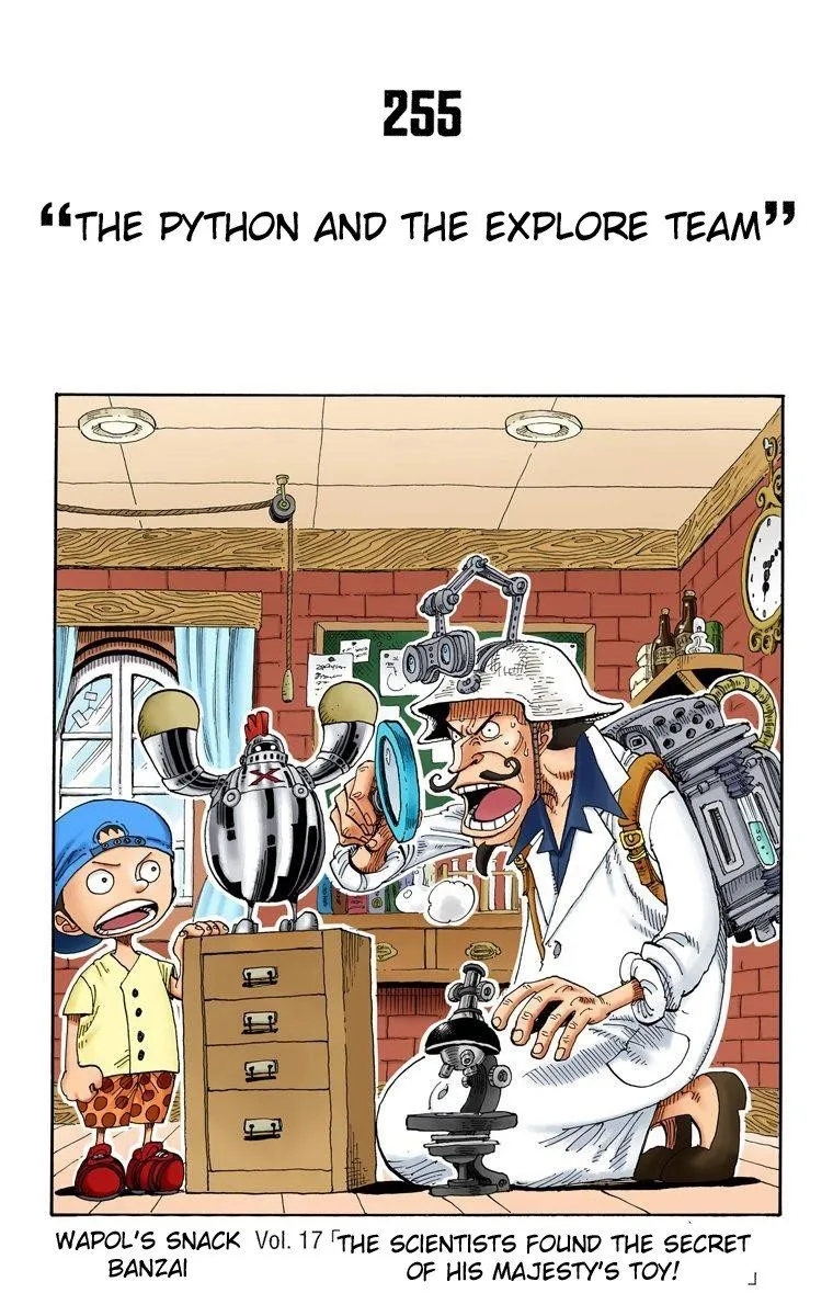 One Piece - Colored Chapter 255 page 2