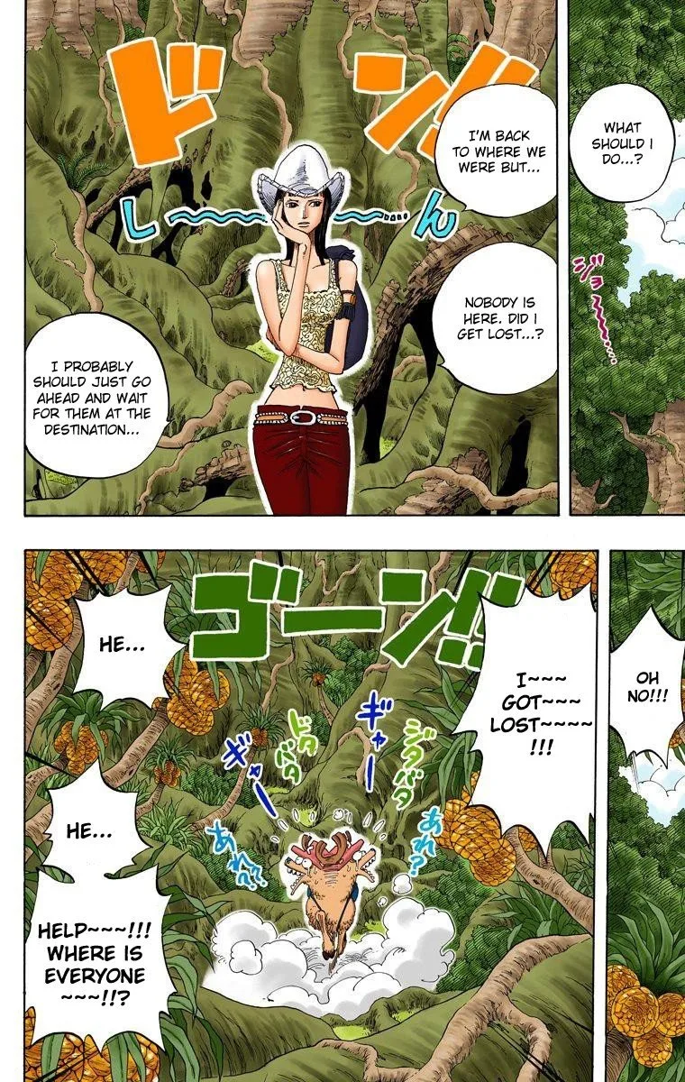 One Piece - Colored Chapter 255 page 19