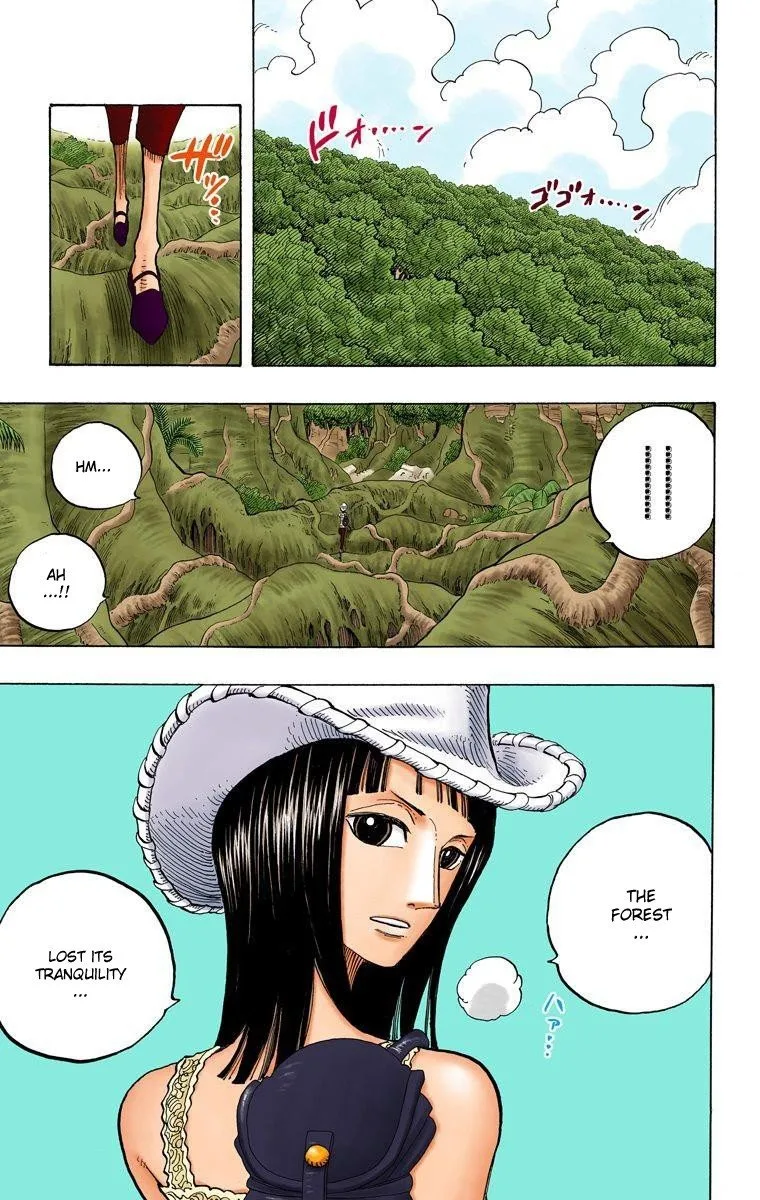 One Piece - Colored Chapter 258 page 8