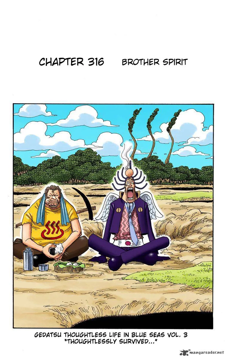 One Piece - Colored Chapter 316 page 2