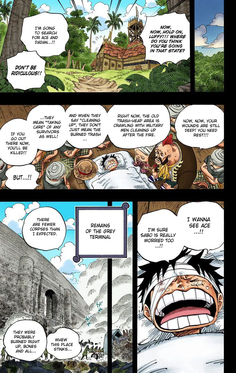 One Piece - Colored Chapter 587 page 18