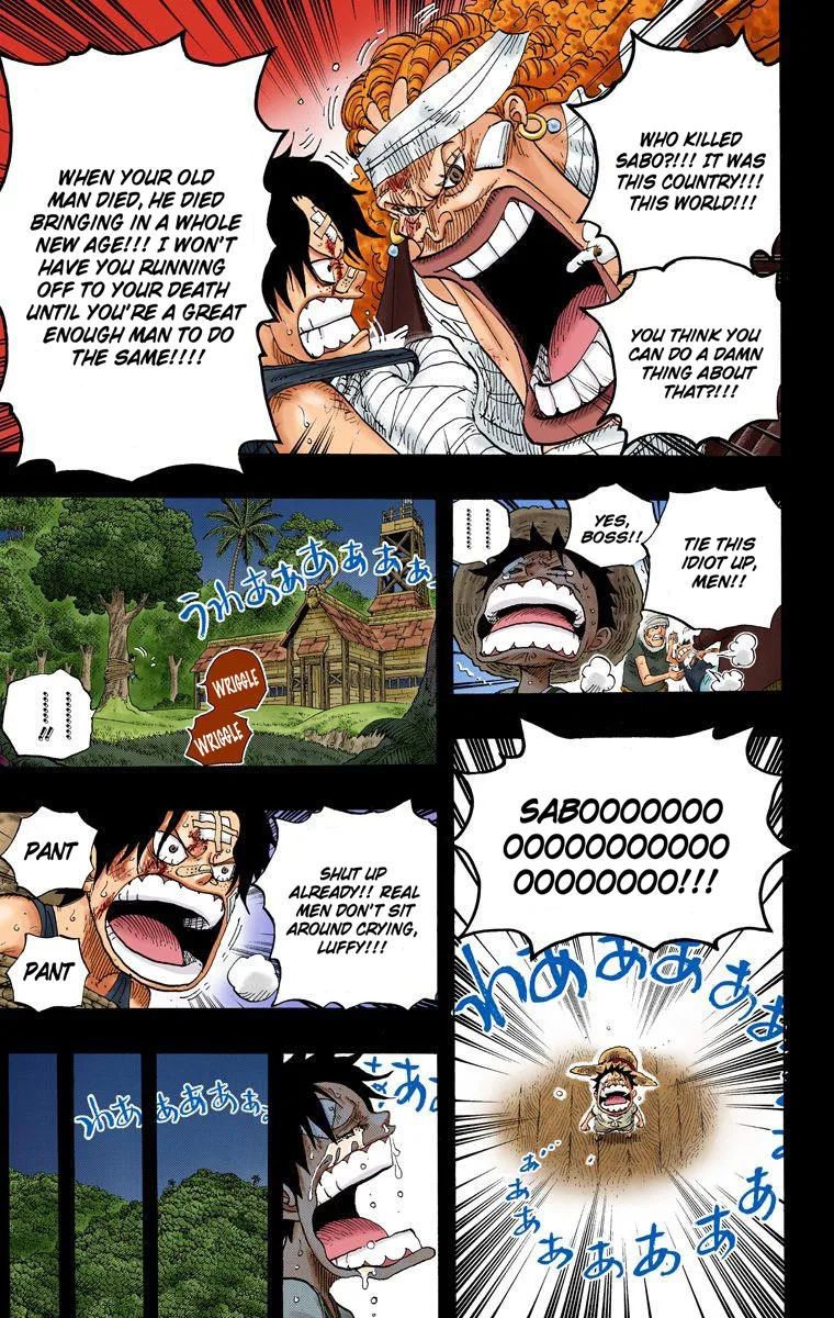 One Piece - Colored Chapter 588 page 17