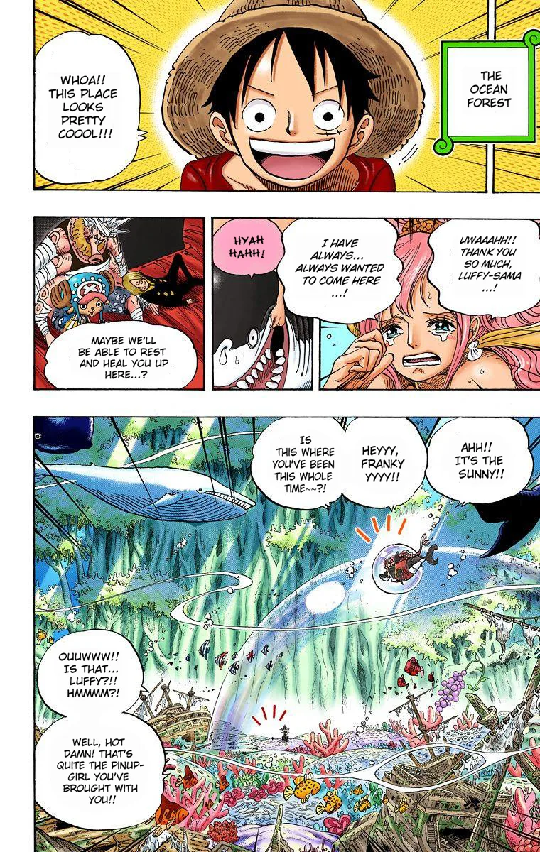 One Piece - Colored Chapter 619 page 9