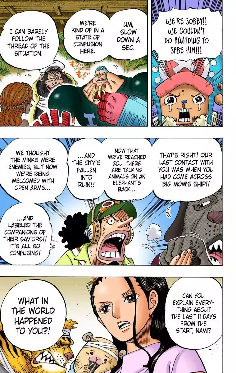 One Piece - Colored Chapter 807 page 12
